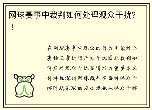 网球赛事中裁判如何处理观众干扰？ !